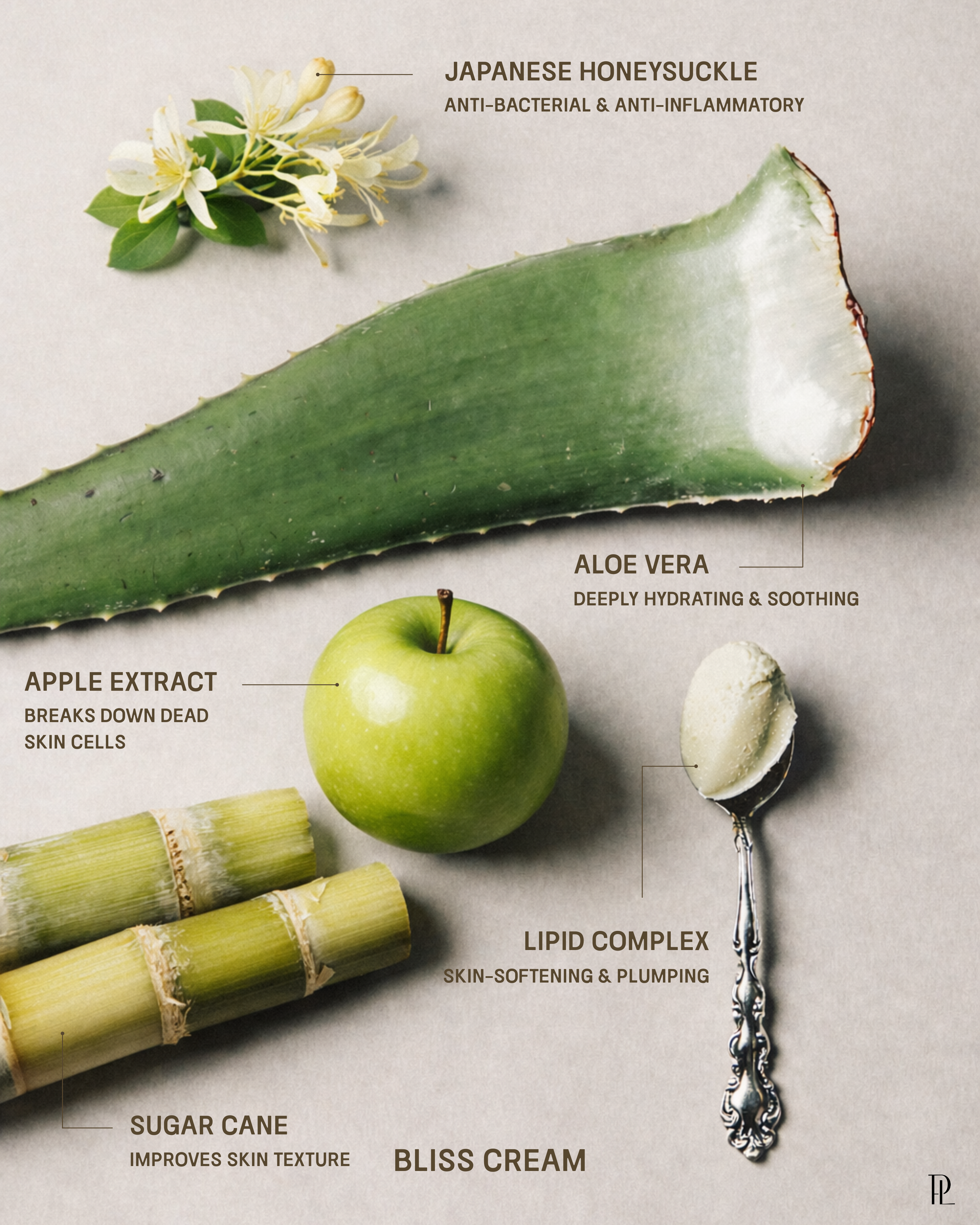 Bliss Hydrating Cream