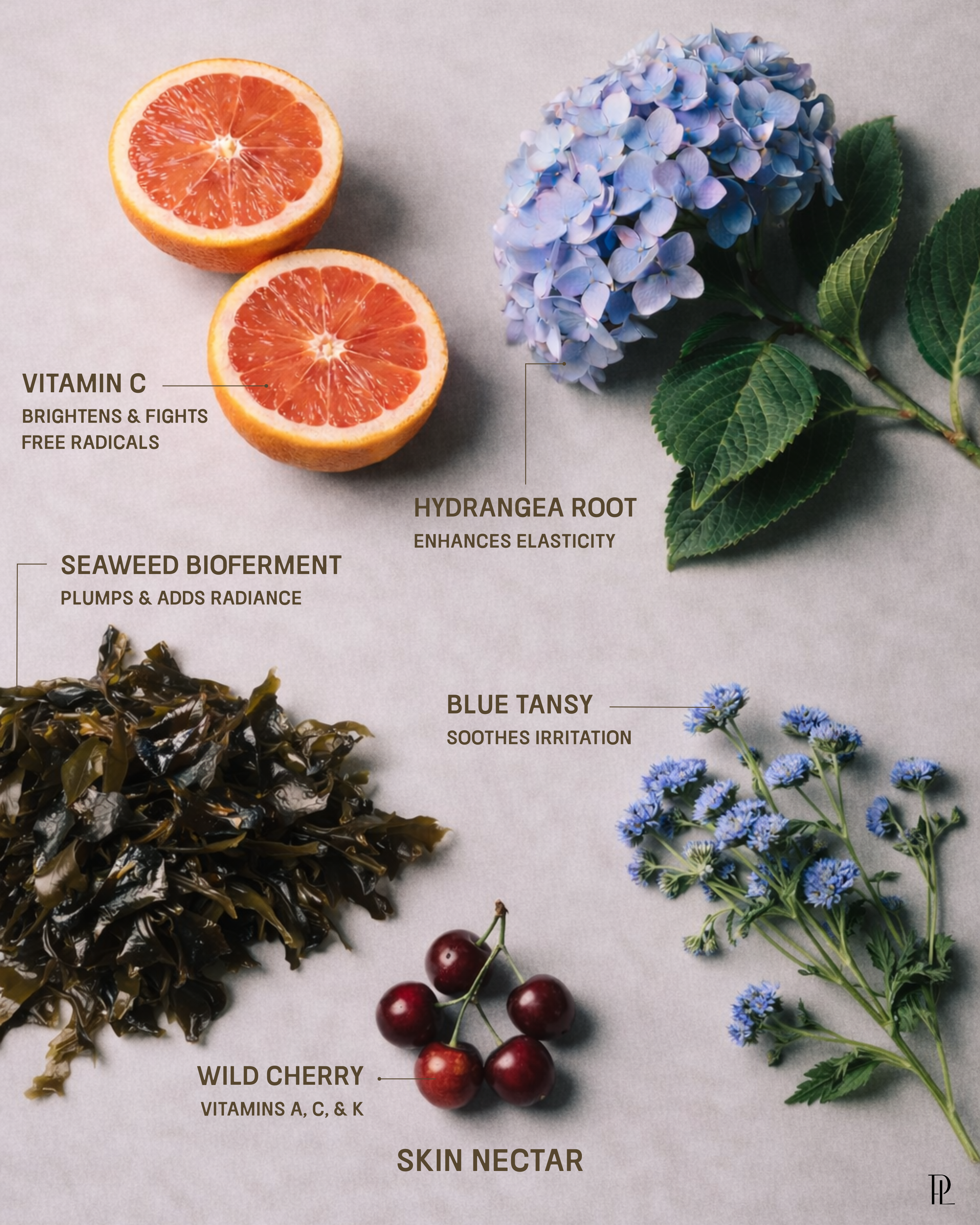 Skin Nectar Niacinamide Serum