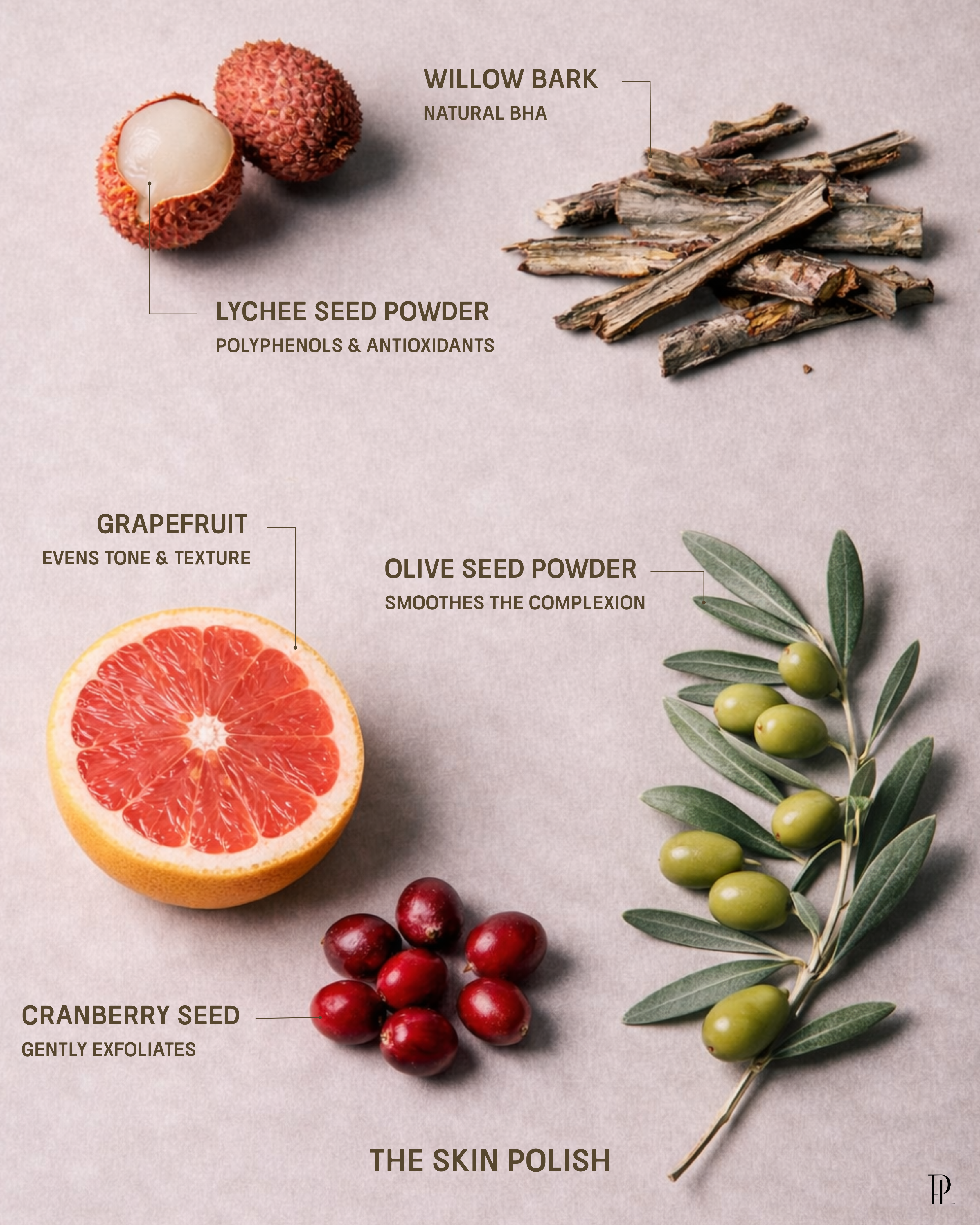 The Skin Polish- Facial Exfoliant